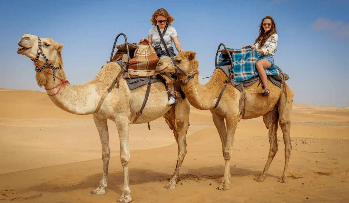 Dubai Desert Safari Camel Ride
