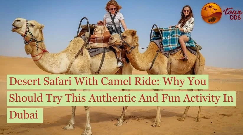 How To Book A Desert Safari With A Camel Ride In Dubai?