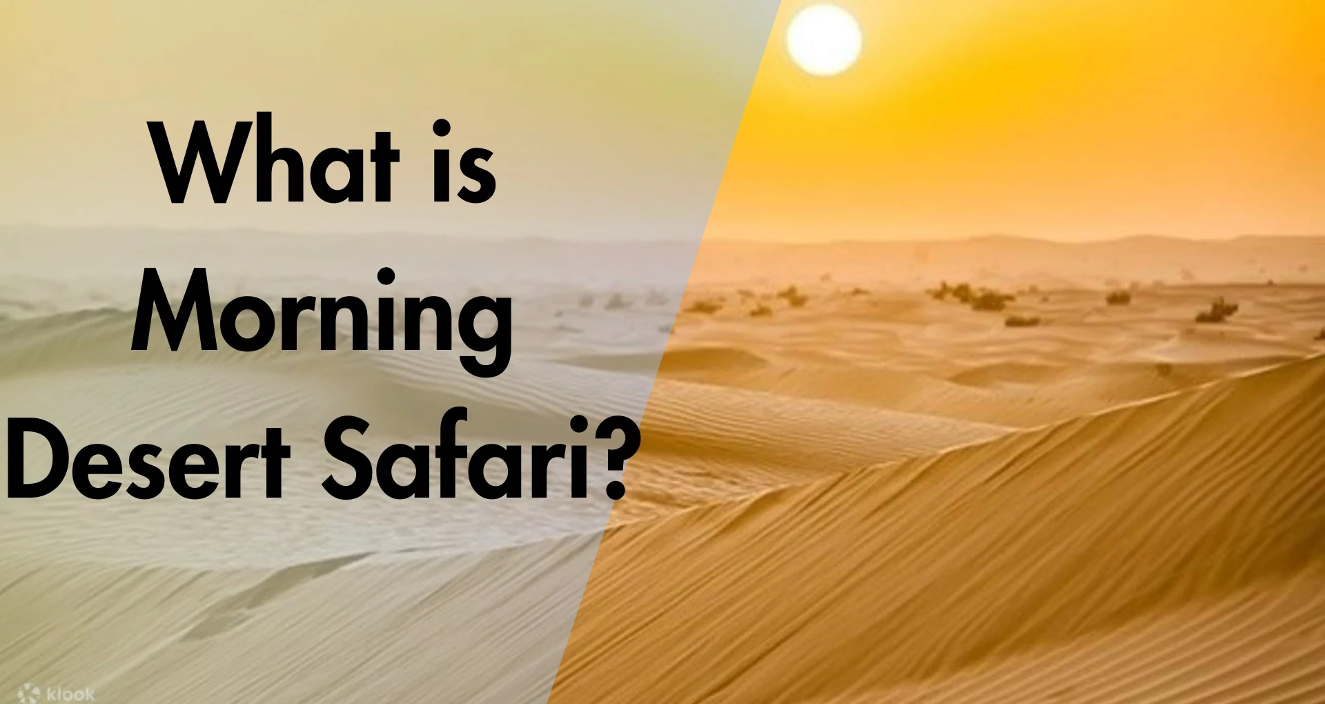 How to Enjoy the Best Morning Desert Safari in Dubai