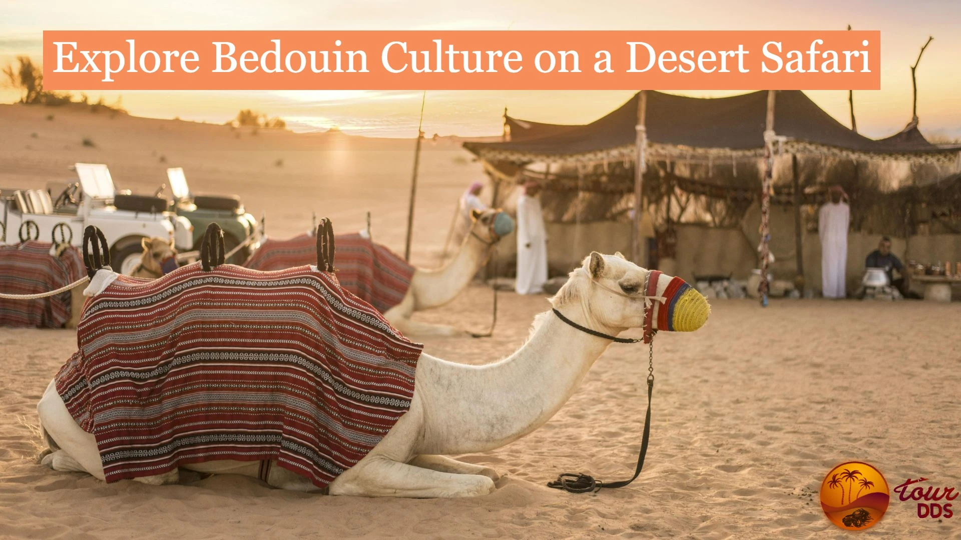 What is the Bedouin culture in the UAE?