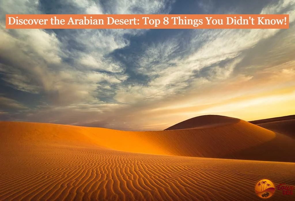 What are 8 interesting facts about the desert?