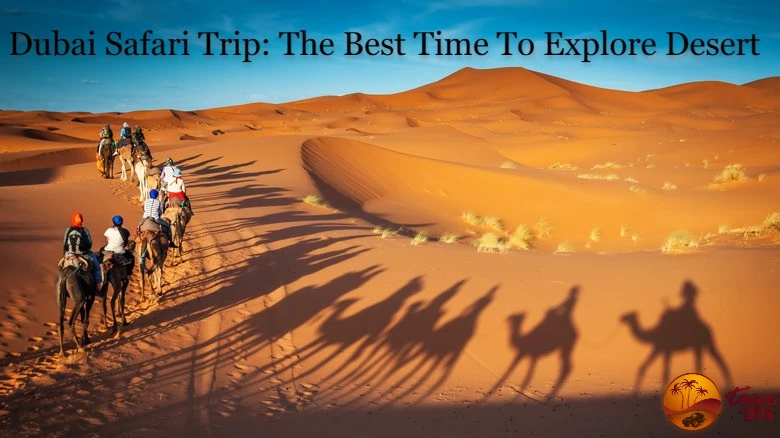 Best Time to Go on a Desert Safari in Dubai