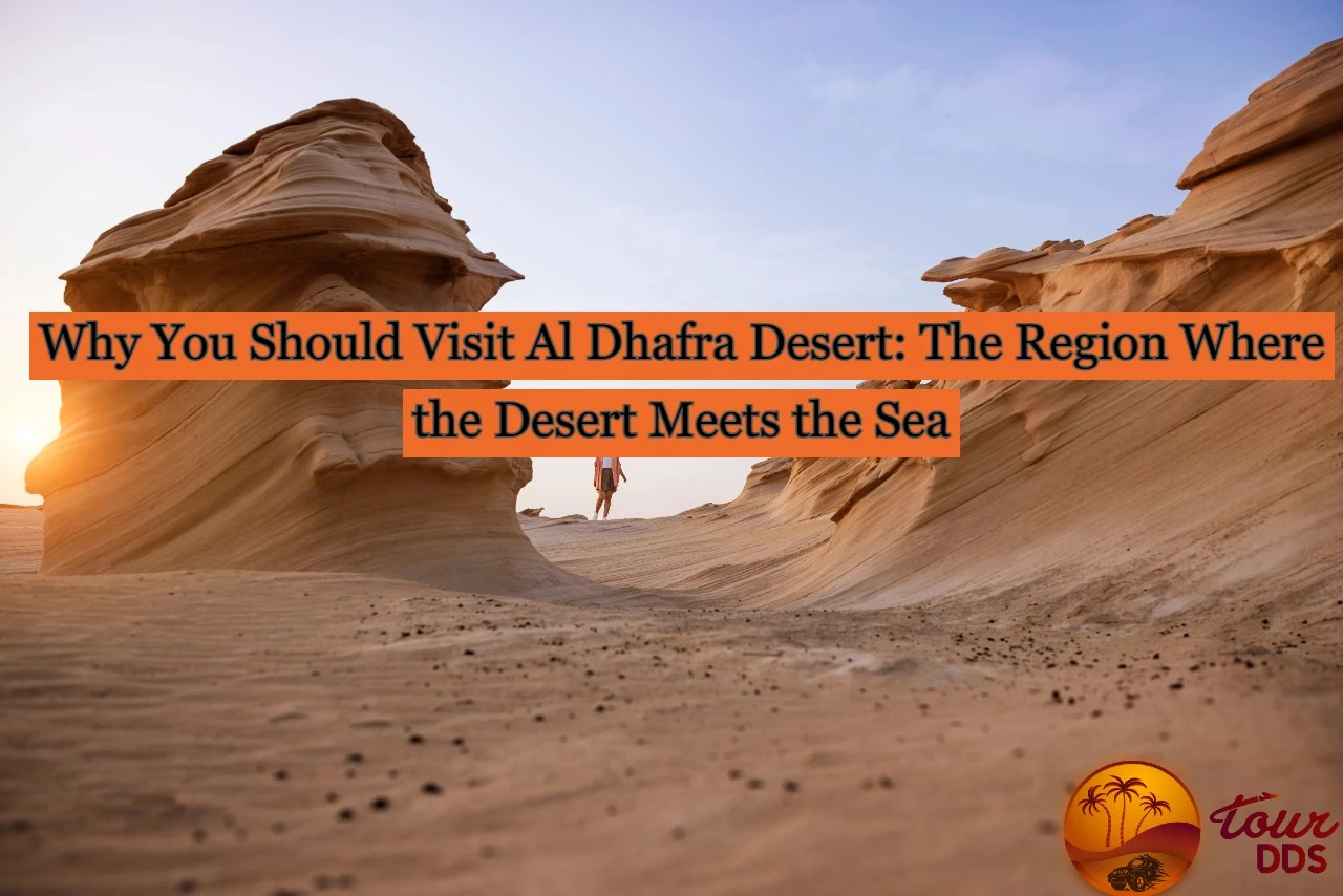 Why You Should Visit Al Dhafra Desert?
