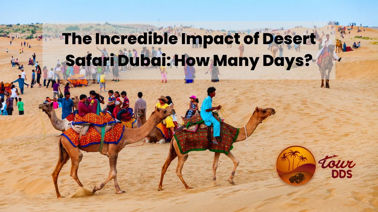 What to Expect from Dubai Desert Safari?