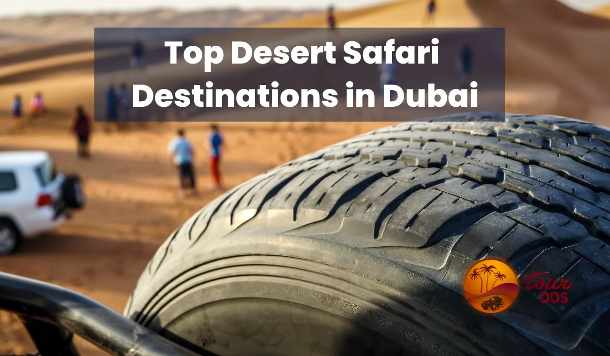 Which Desert Safari is best for Desert Safari in Dubai?