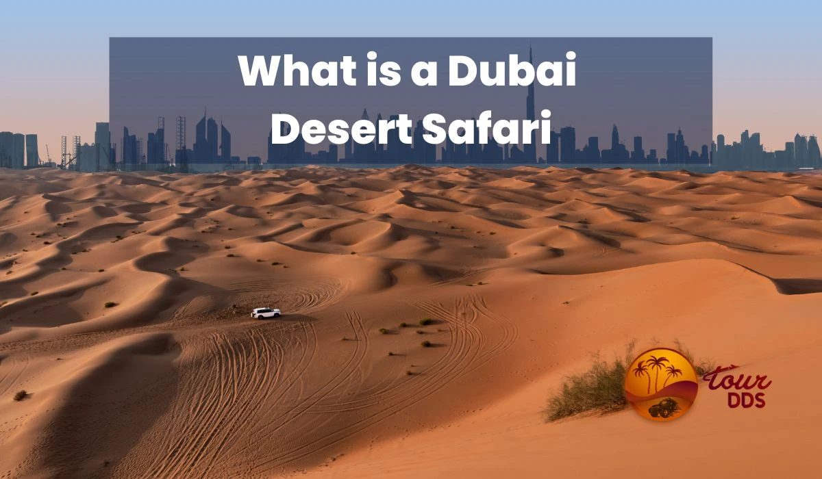 What is Dubai Desert Safari Ticket Price?