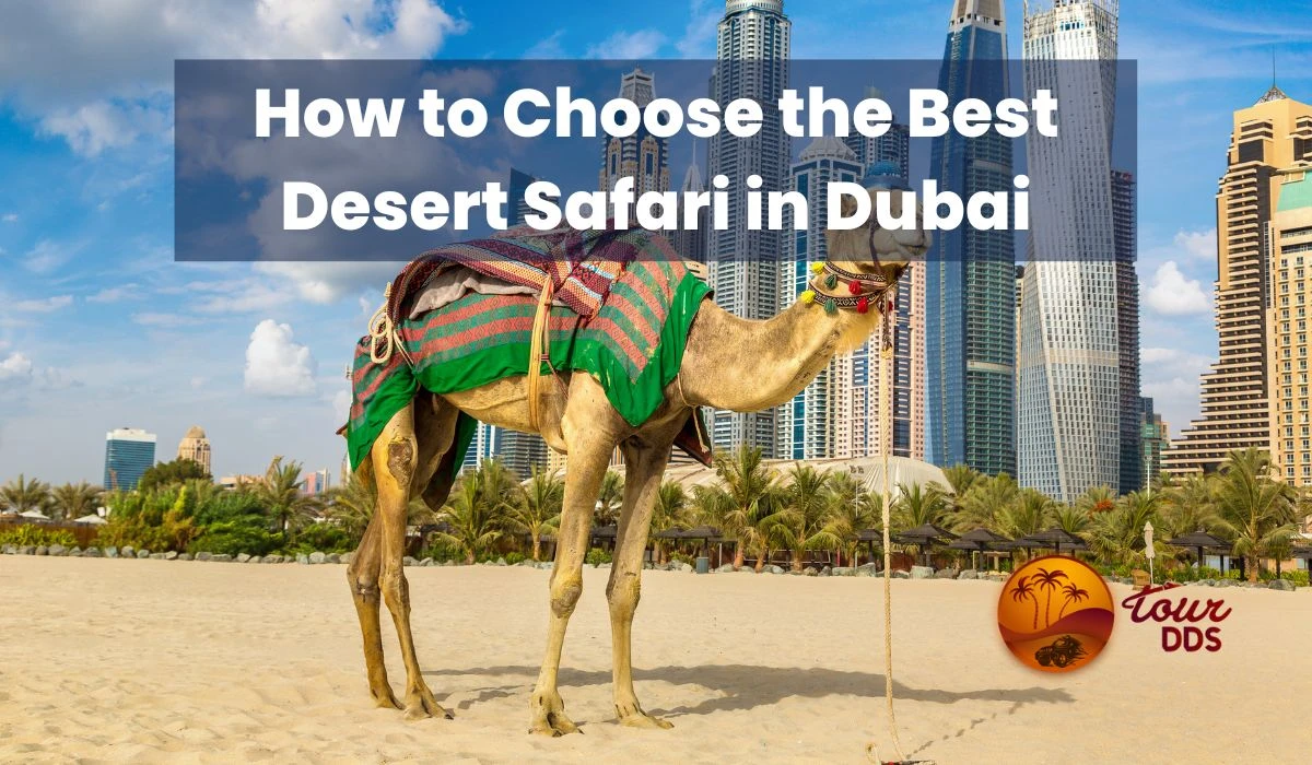 How to Choose the Best Desert Safari in Dubai