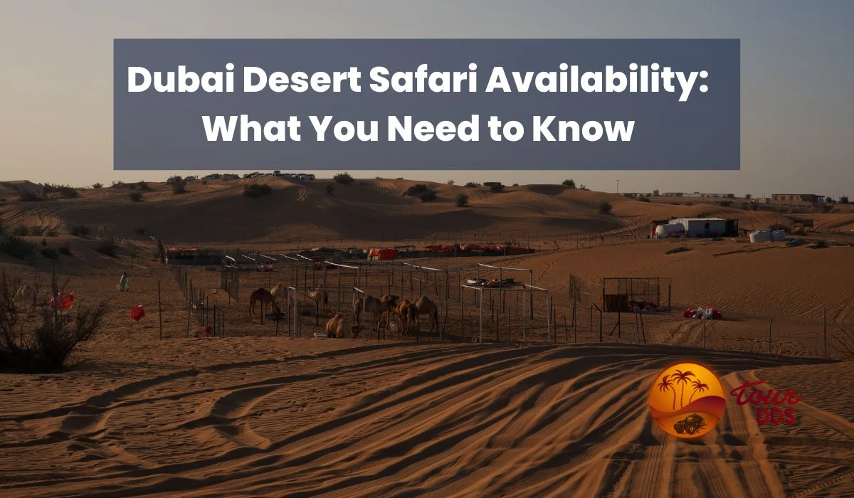Is Desert Safari available in Dubai?