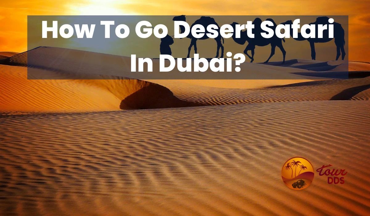 How To Go Desert Safari In Dubai?
