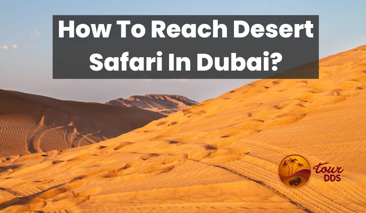 How To Reach Desert Safari In Dubai?