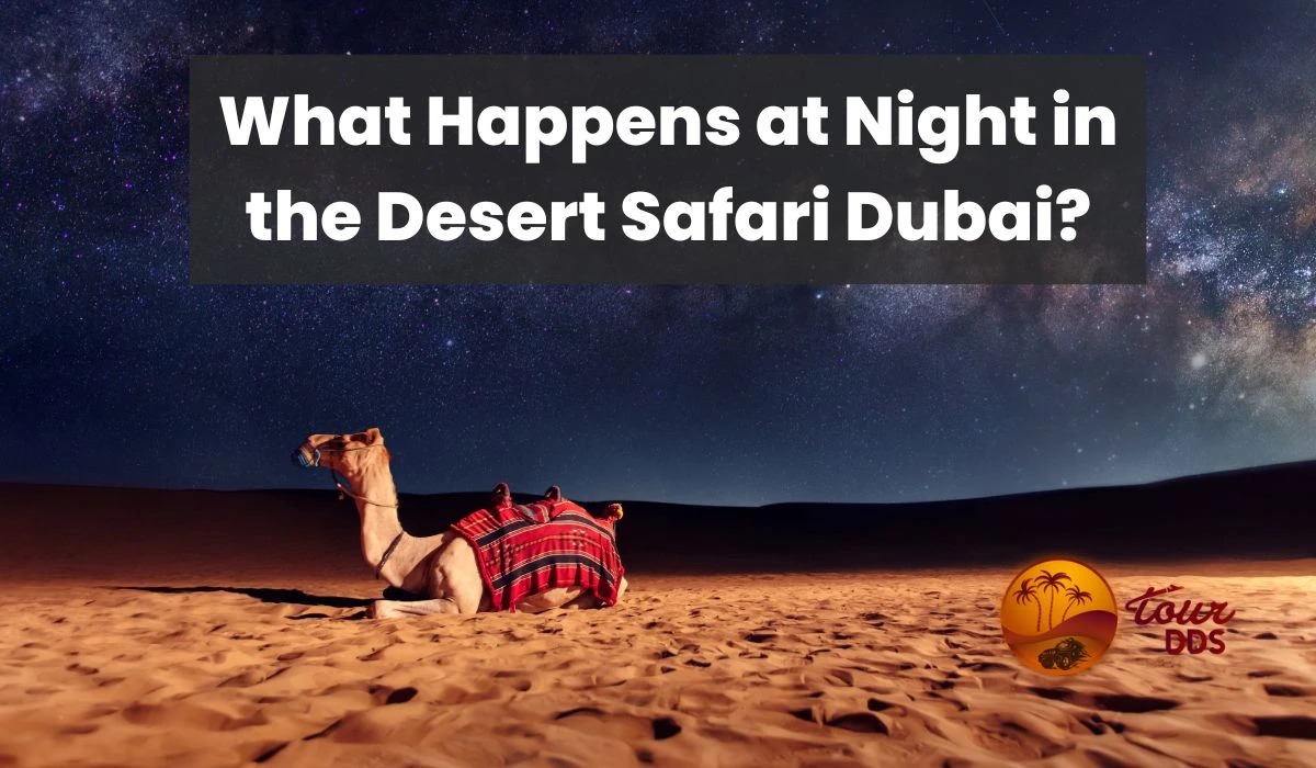 What Happens at Night in the Desert Safari Dubai?