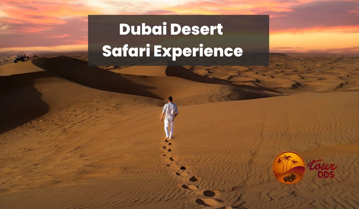 The Dubai Desert Safari Experience
