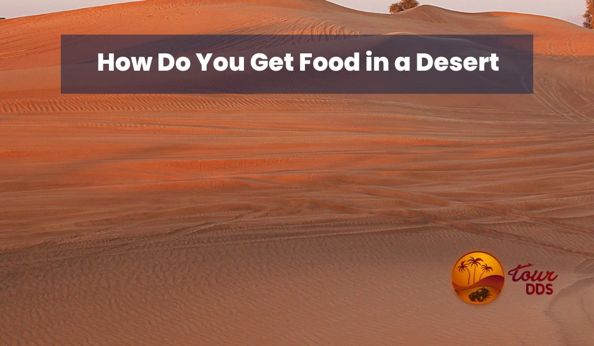 How Do You Get Food in a Dubai Desert?