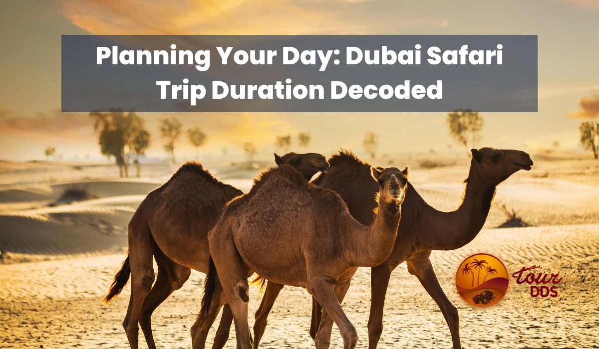 How long is the Desert Safari ride in Dubai?