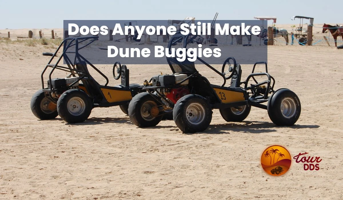 Does Anyone Still Make Dune Buggies