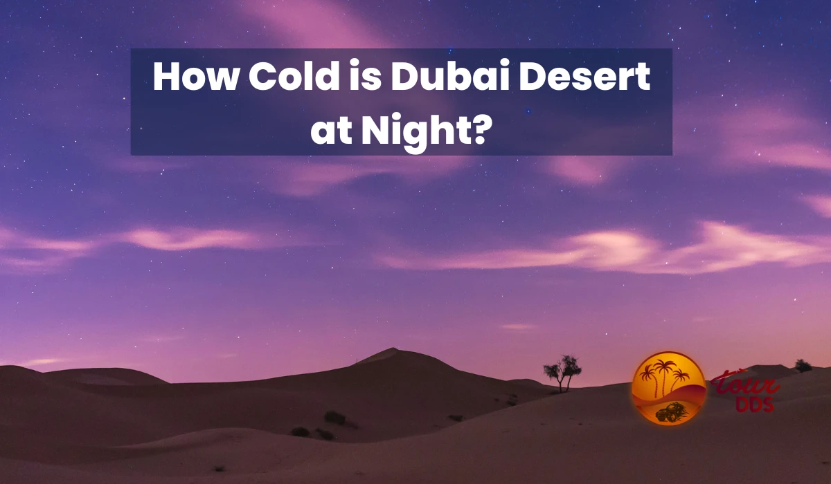 How Cold is Dubai Desert at Night?