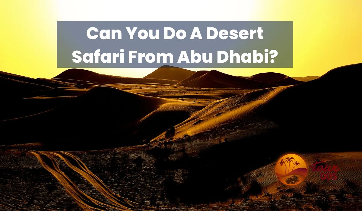 Can You Do A Desert Safari From Abu Dhabi