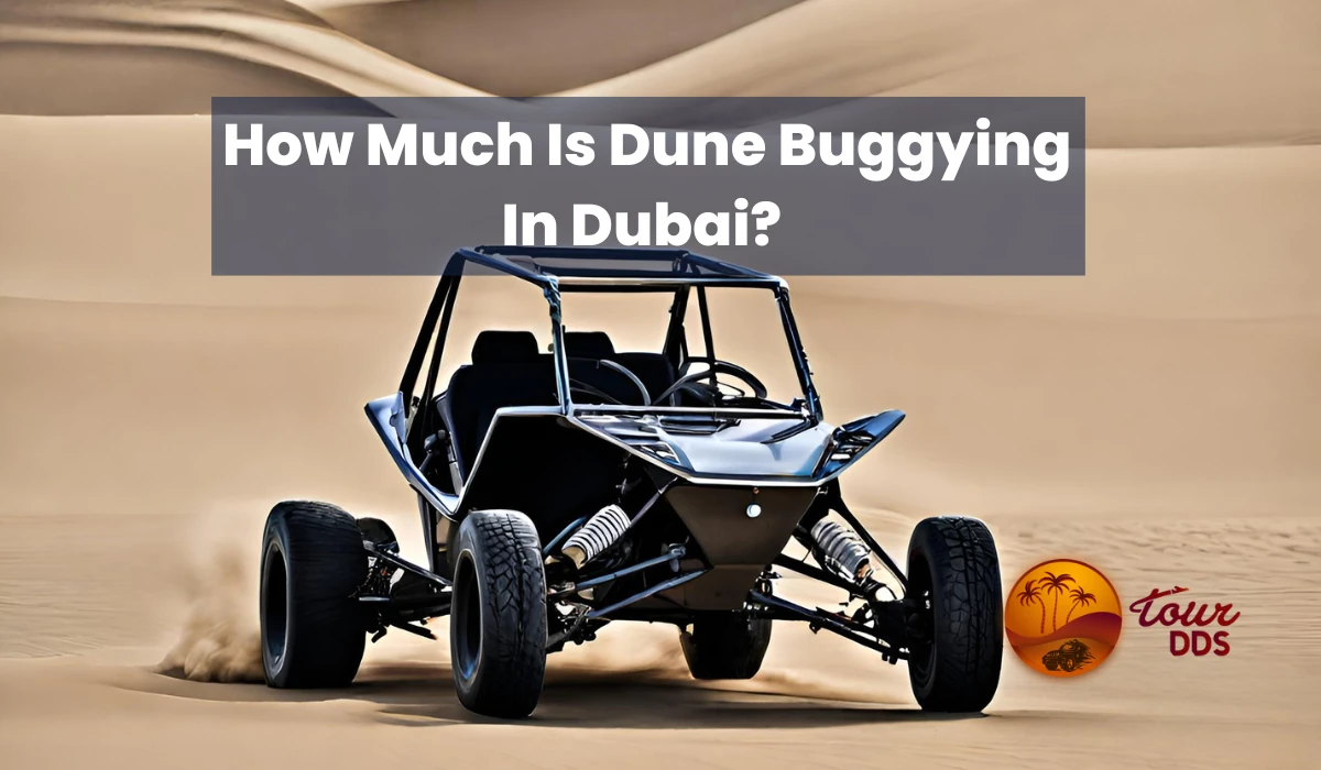 Is dune bashing in Dubai worth it?