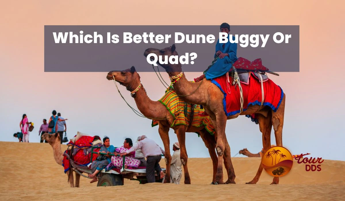 Which Is Better Dune Buggy Or Quad Bike?