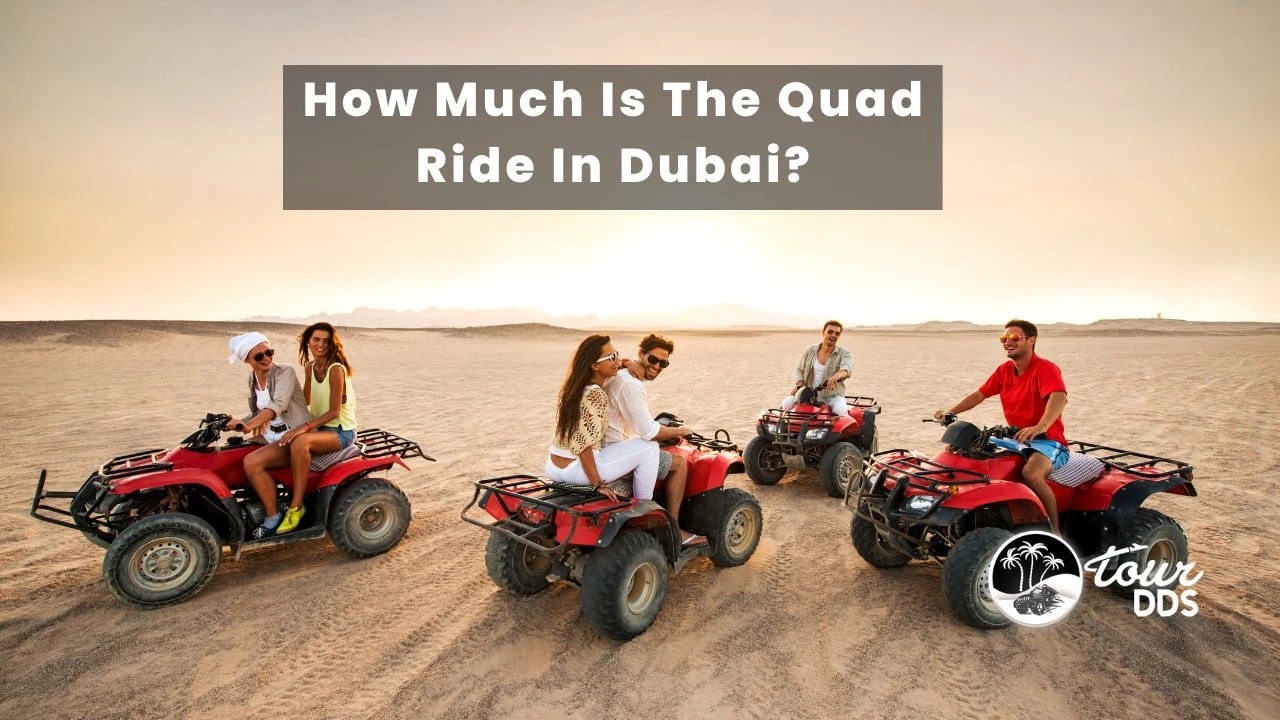 How Much Is The Quad Ride In Dubai?