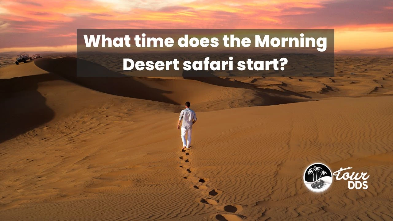 What time does Morning desert safari start? 