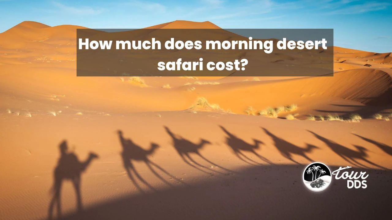 How much does morning desert safari cost?