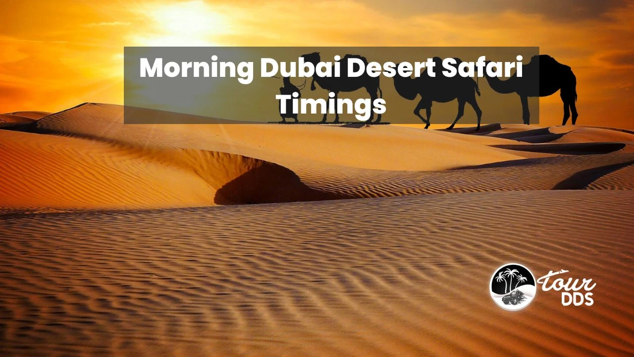 Morning Dubai Desert Safari Timings 