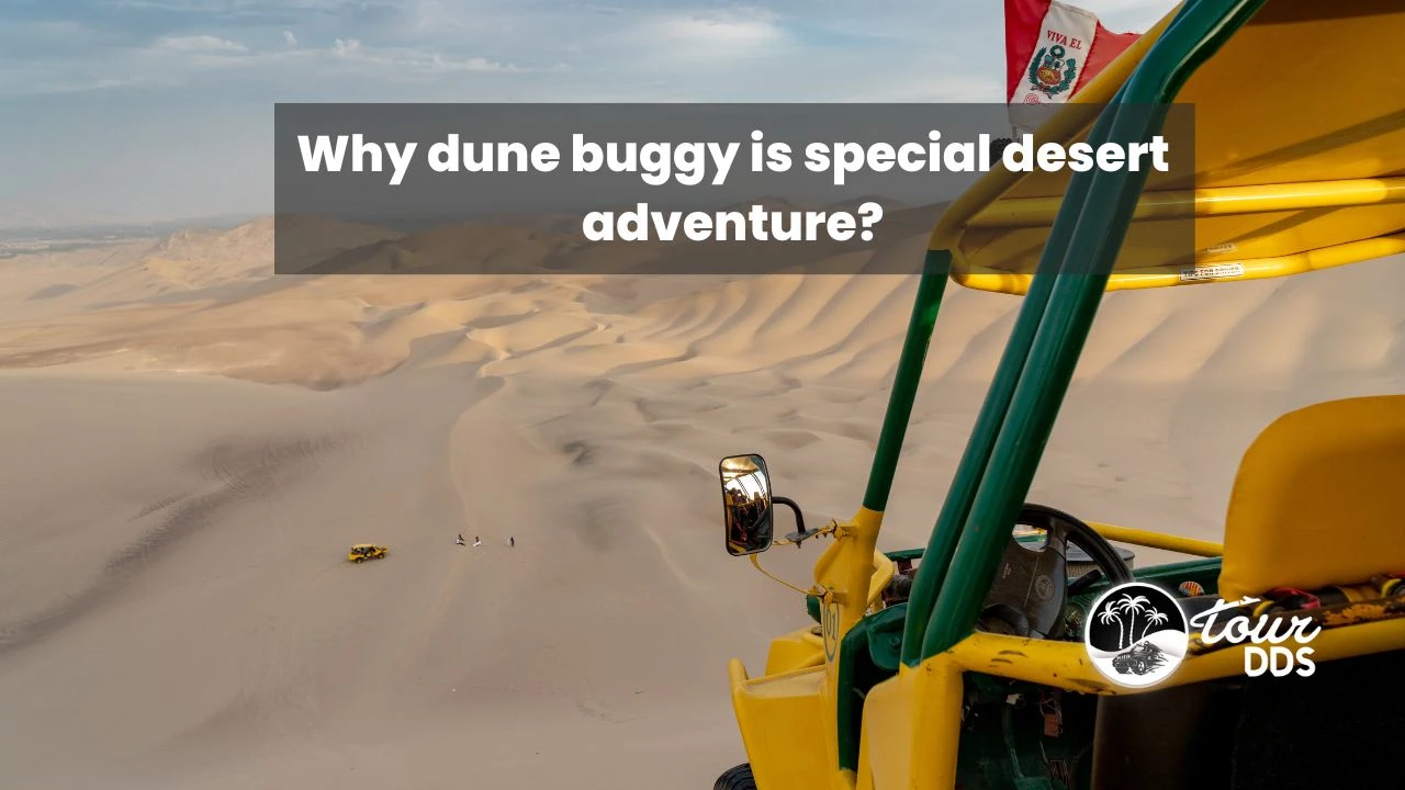 Why dune buggy is special desert adventure? 