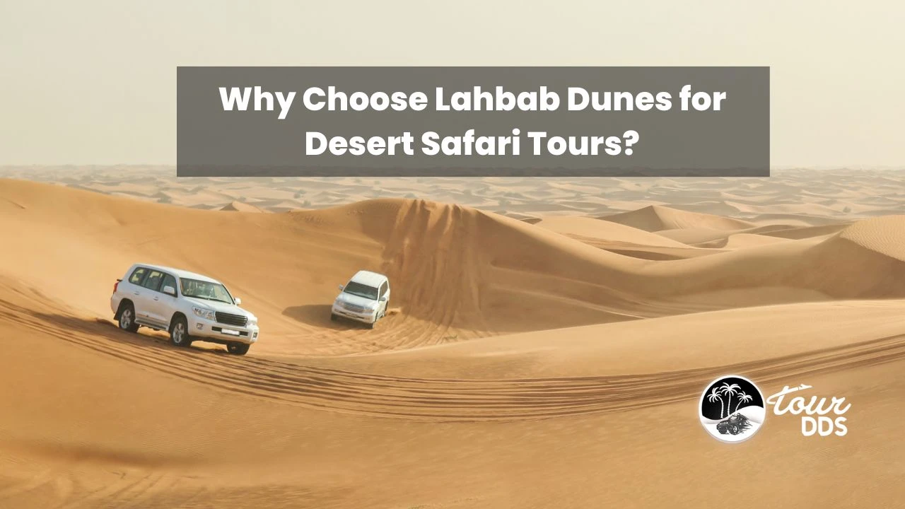 Why Choose Lahbab Dunes for Desert Safari Tours?