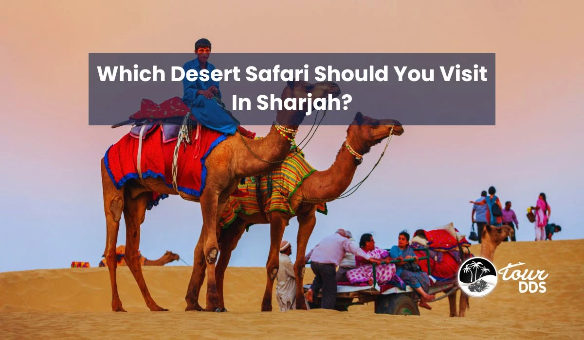 Which Desert Safari Should You Visit In Sharjah?