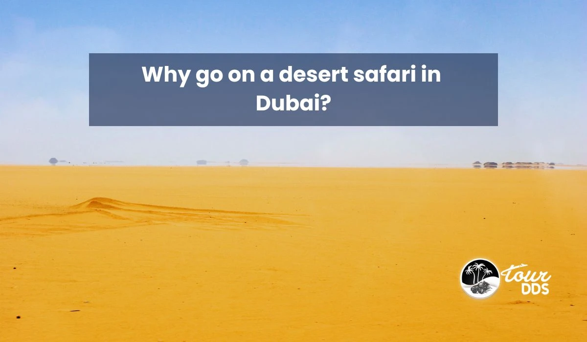 Why go on a desert safari in Dubai?