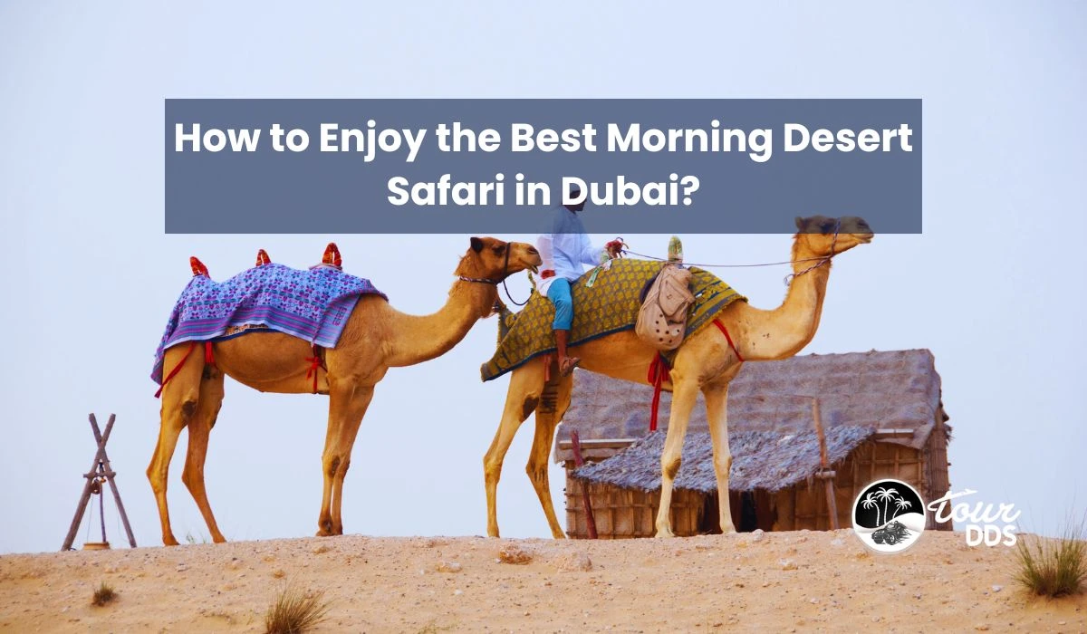 How to Enjoy the Best Morning Desert Safari in Dubai