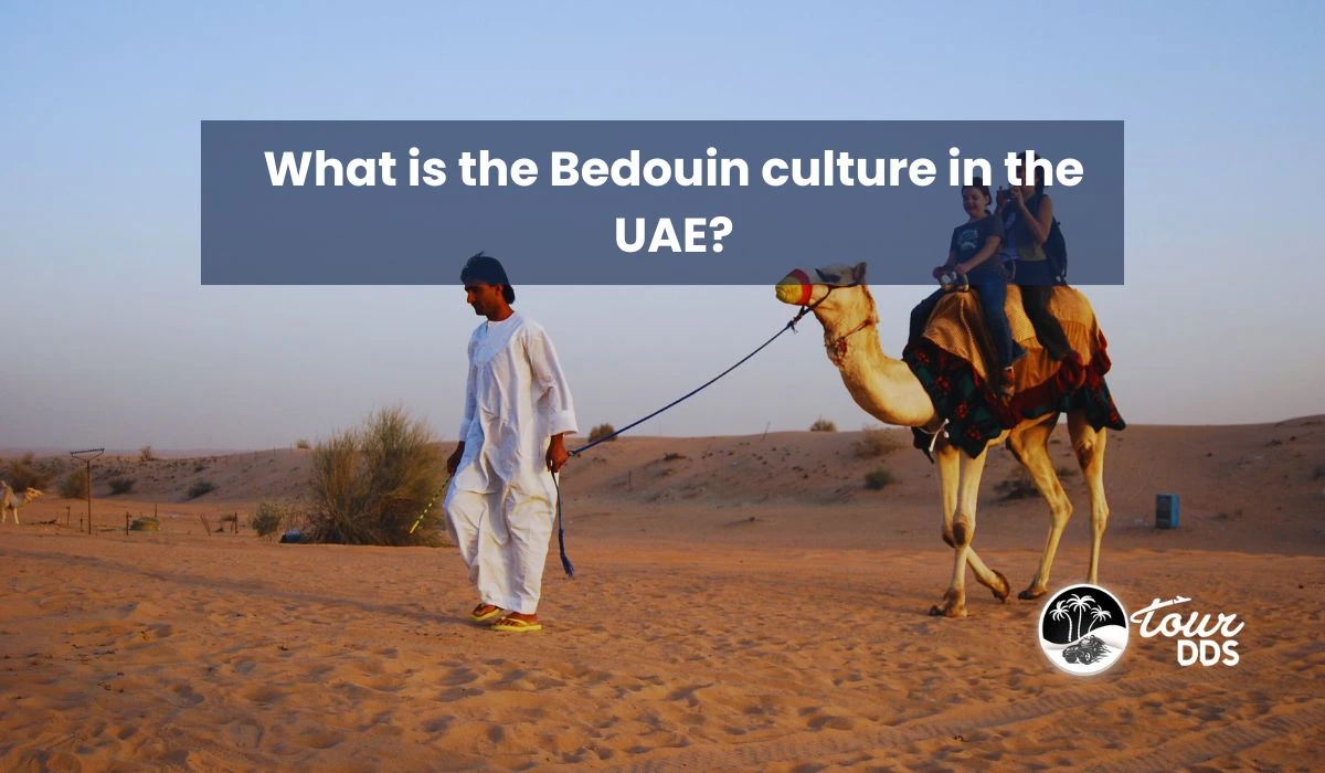 What is the Bedouin culture in the UAE?