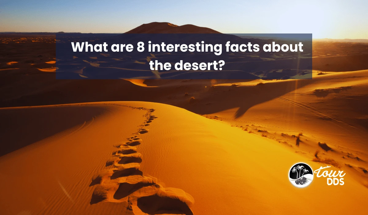 What are 8 interesting facts about the desert?