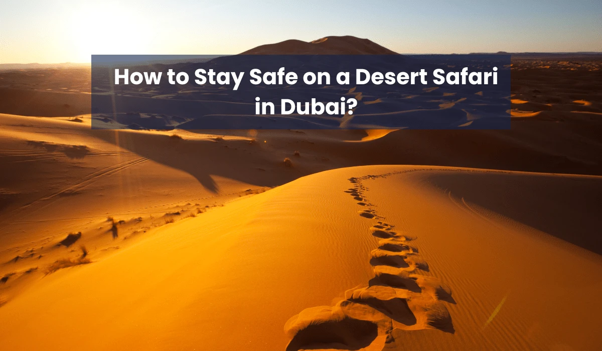 How to Stay Safe on a Desert Safari in Dubai?