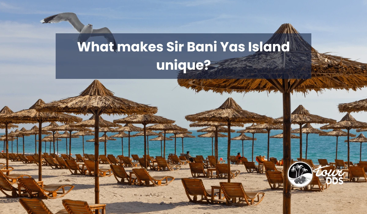 What makes Sir Bani Yas Island unique?