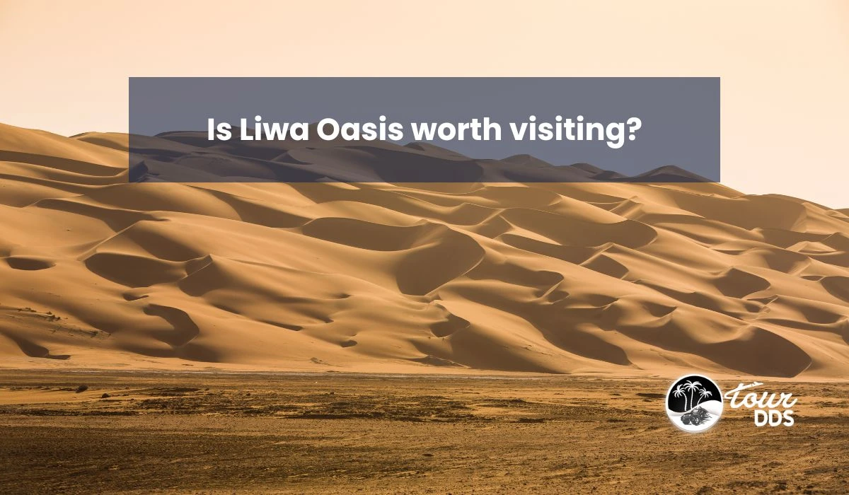 Is Liwa Oasis worth visiting?