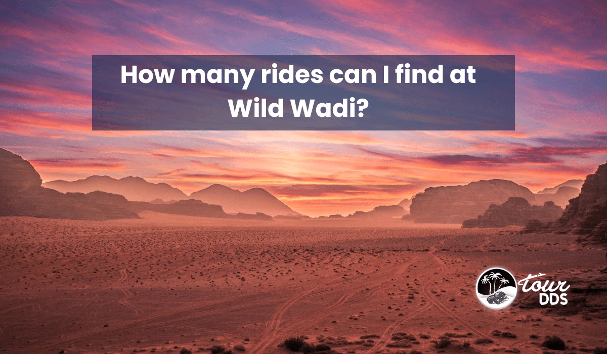 How many rides can I find at Wild Wadi?