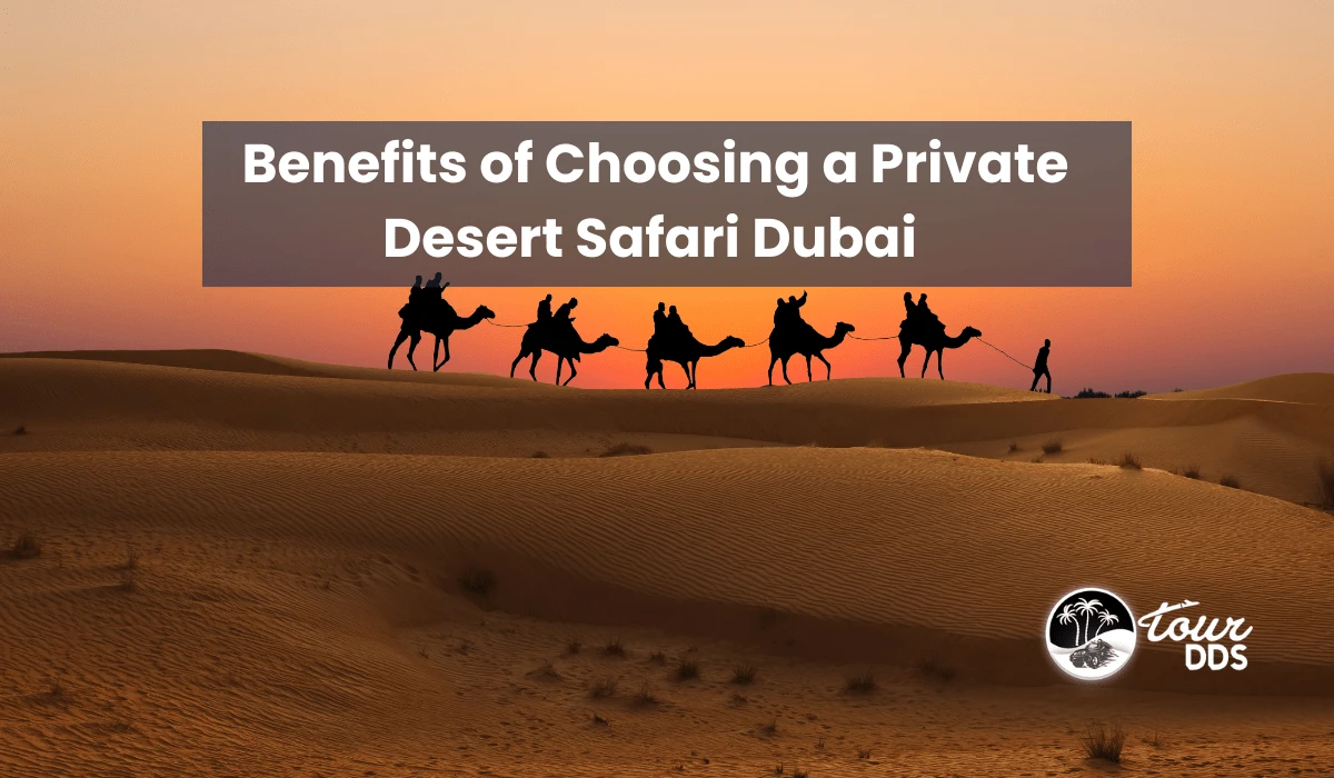 Benefits of Choosing a Private Desert Safari Dubai 