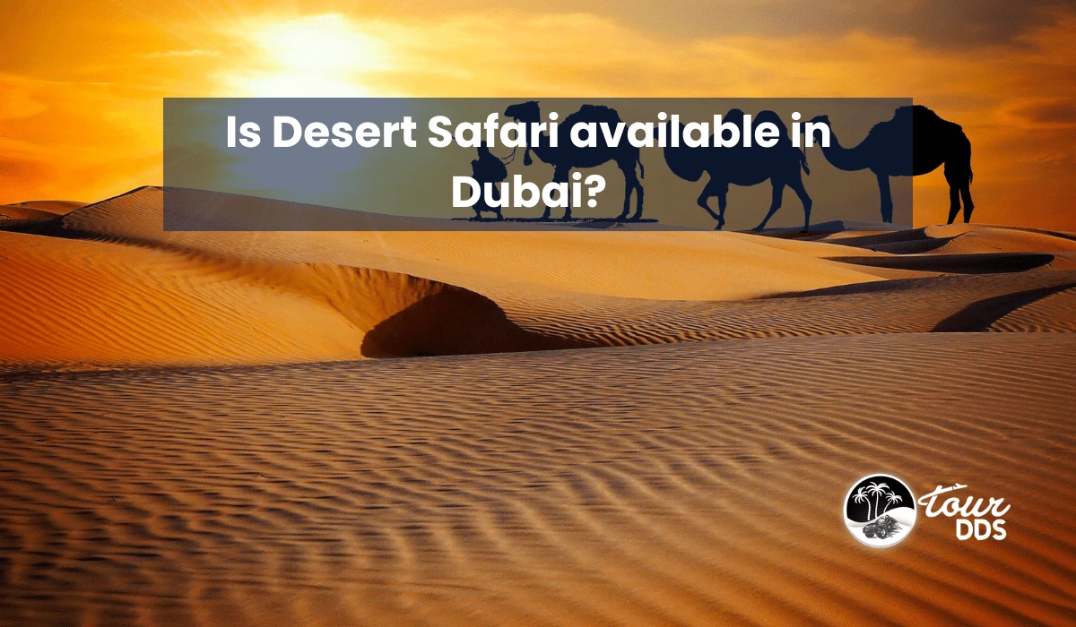 Is Desert Safari available in Dubai?