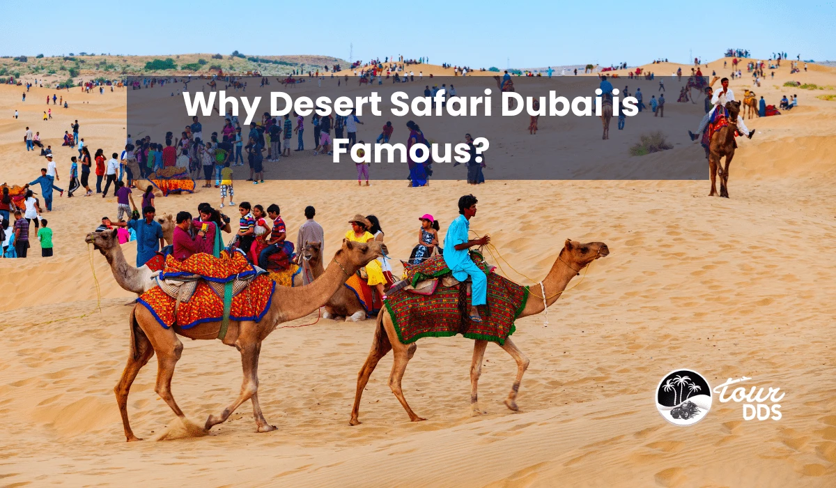 Why Desert Safari Dubai is Famous?